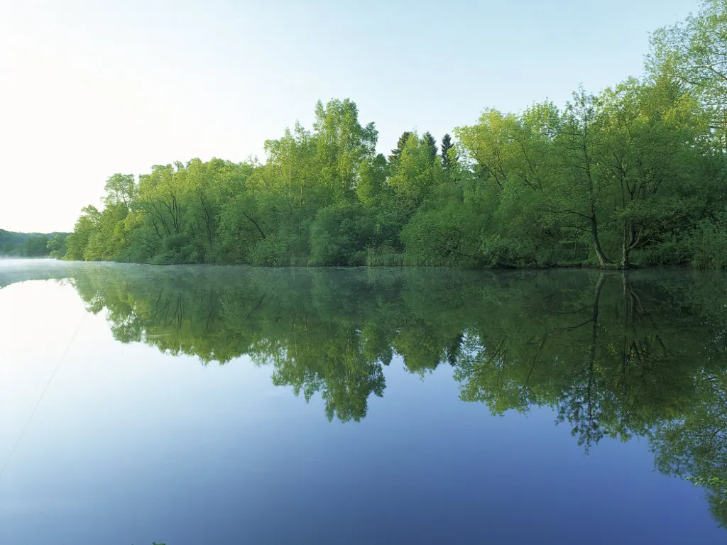 Schwentine-Mündung am Ostufer der Kieler Förde